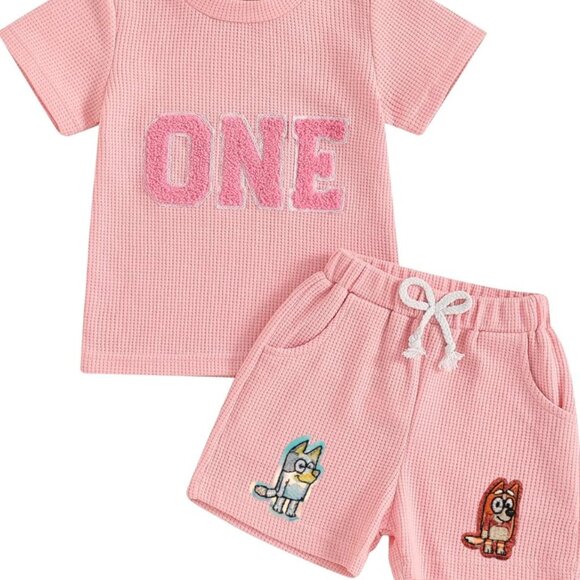 Pink Girl First Birthday Bluey Outfit Shirt Shorts Bluey Top Bingo Clothes - Picture 1 of 6